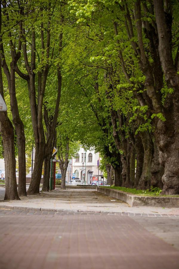 Dvieju Kambariu Butas Klaipedos Centre Appartement Klaipėda Buitenkant foto