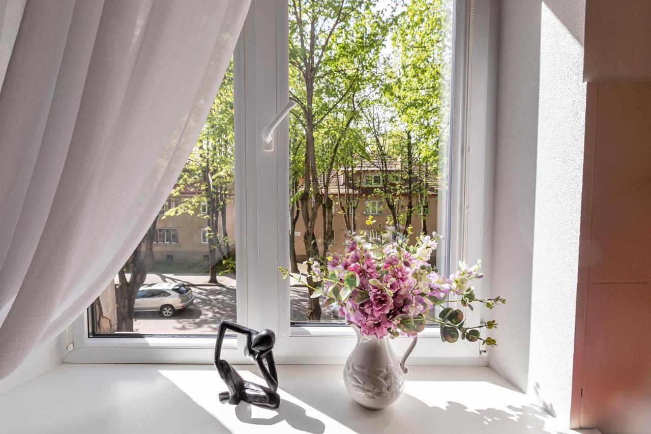 Dvieju Kambariu Butas Klaipedos Centre Appartement Klaipėda Buitenkant foto